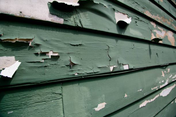 Professional Junk Removal in Shoreline, WA